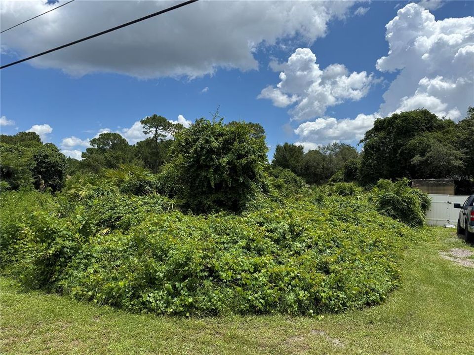 For Sale: $95,000 (0.47 acres)