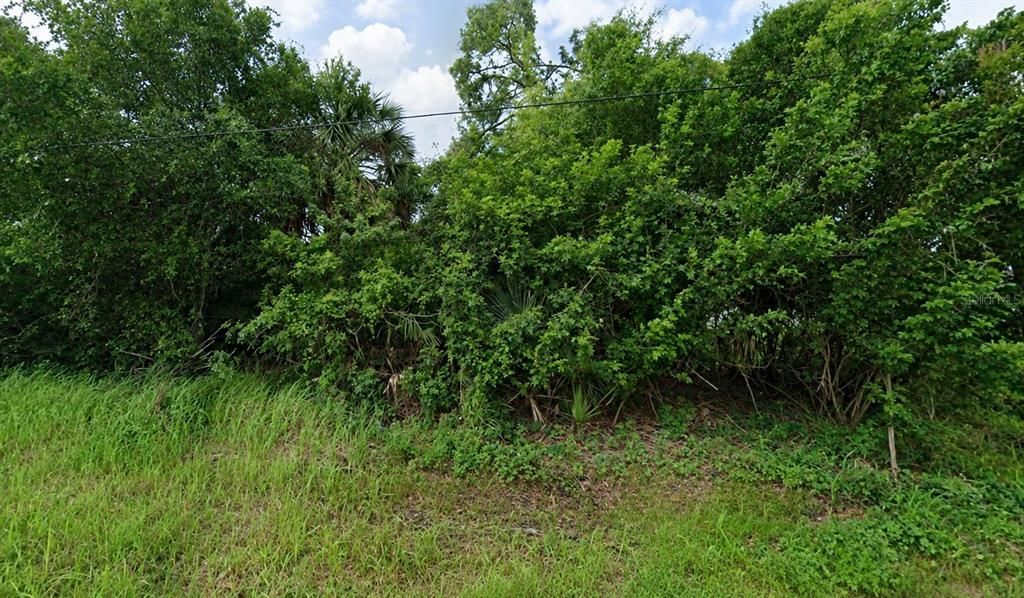 For Sale: $20,000 (0.23 acres)