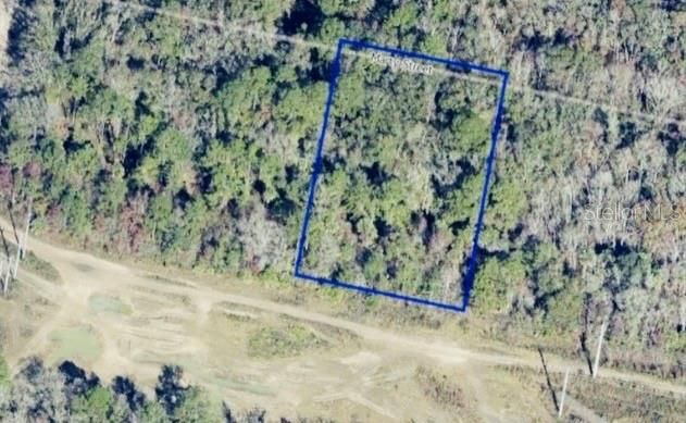 En Venta: $35,000 (1.25 acres)