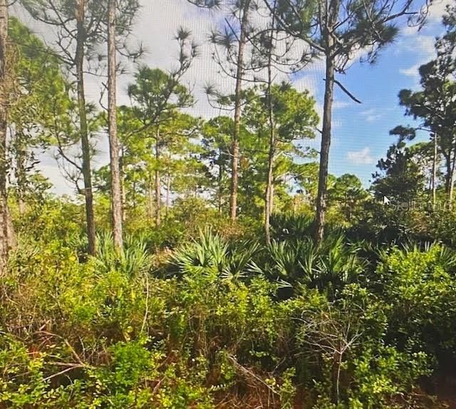 For Sale: $200,000 (1.15 acres)