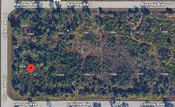 For Sale: $20,000 (0.30 acres)