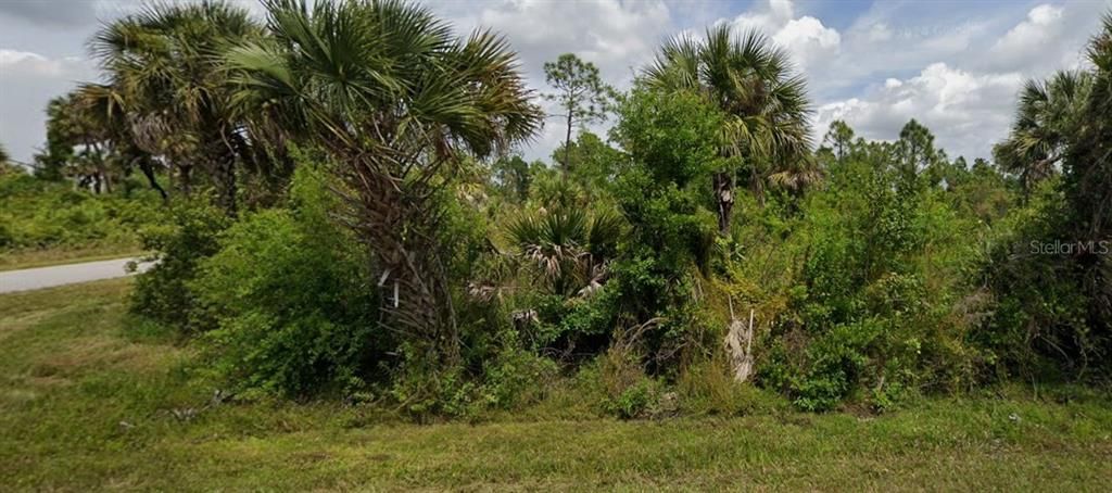 For Sale: $20,000 (0.30 acres)