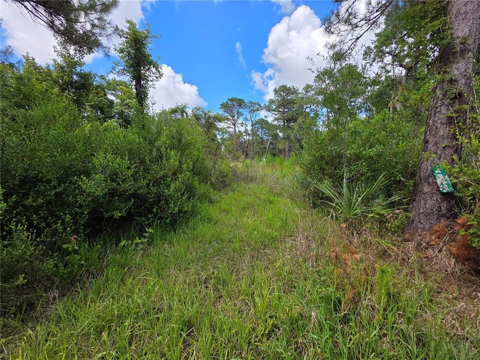 For Sale: $84,900 (1.00 acres)