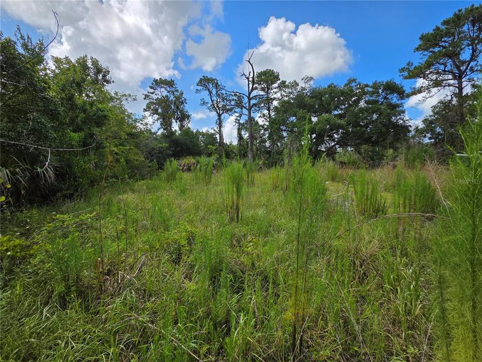 For Sale: $84,900 (1.00 acres)
