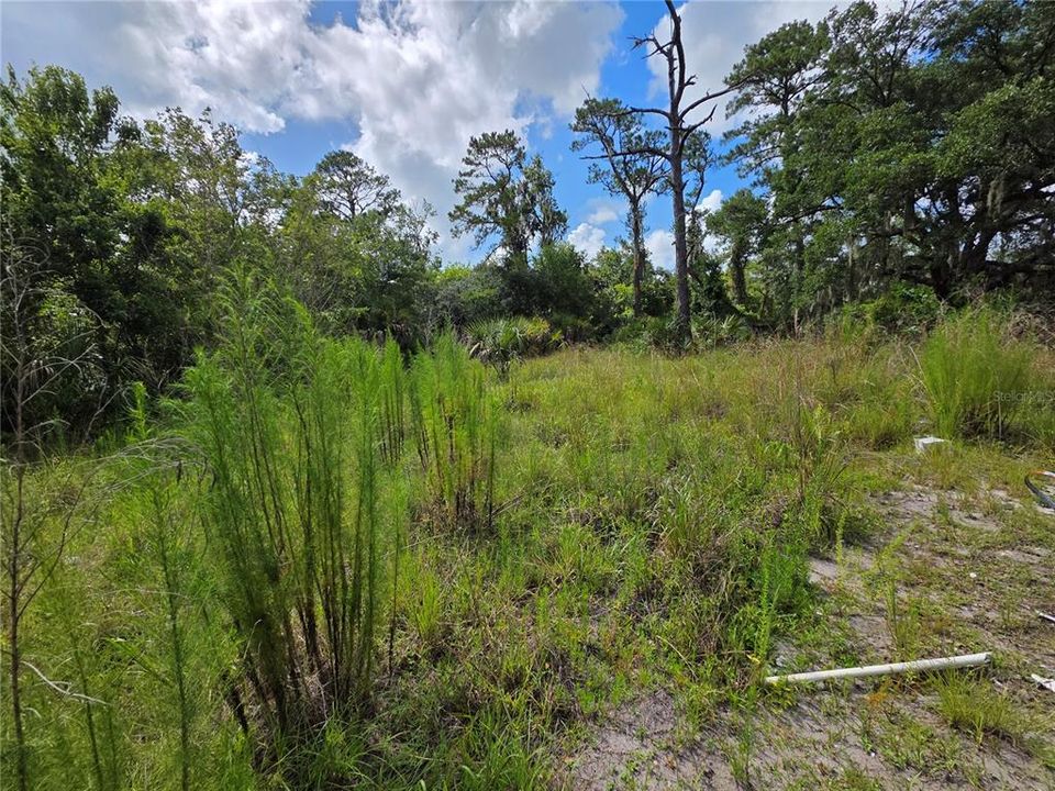 For Sale: $84,900 (1.00 acres)