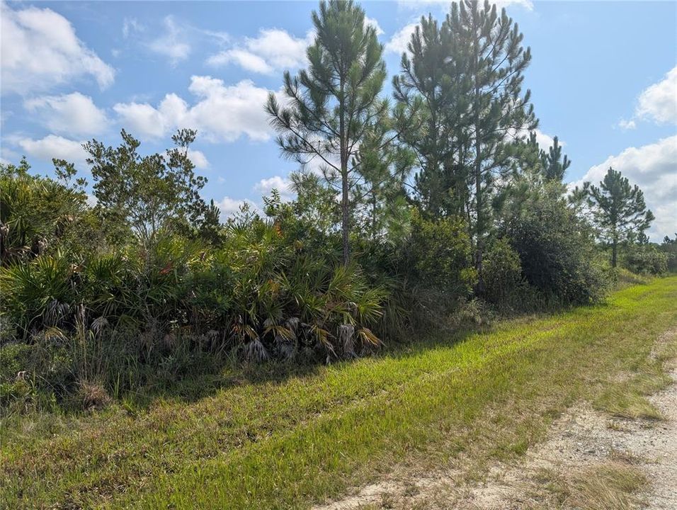 На продажу: $25,000 (1.00 acres)