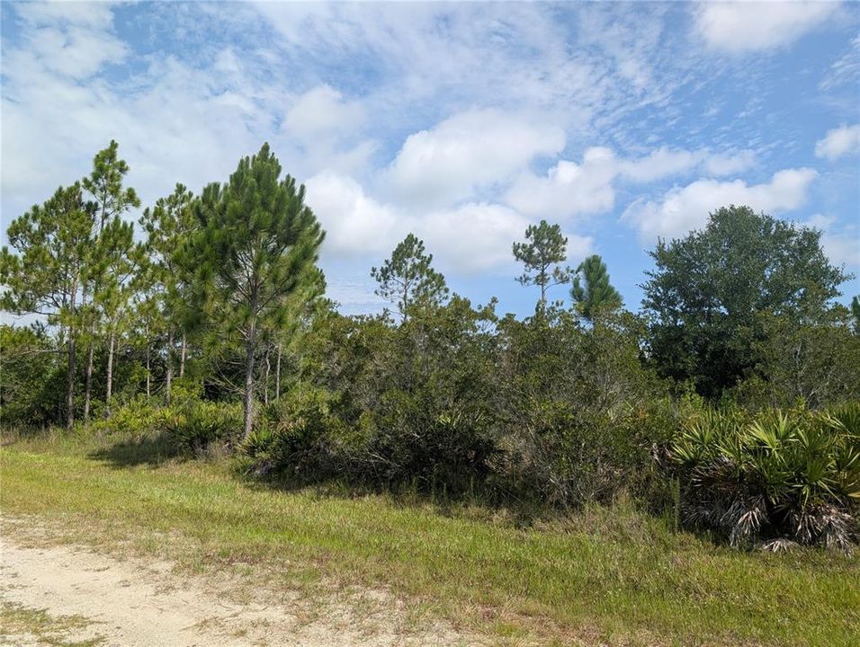 На продажу: $25,000 (1.00 acres)