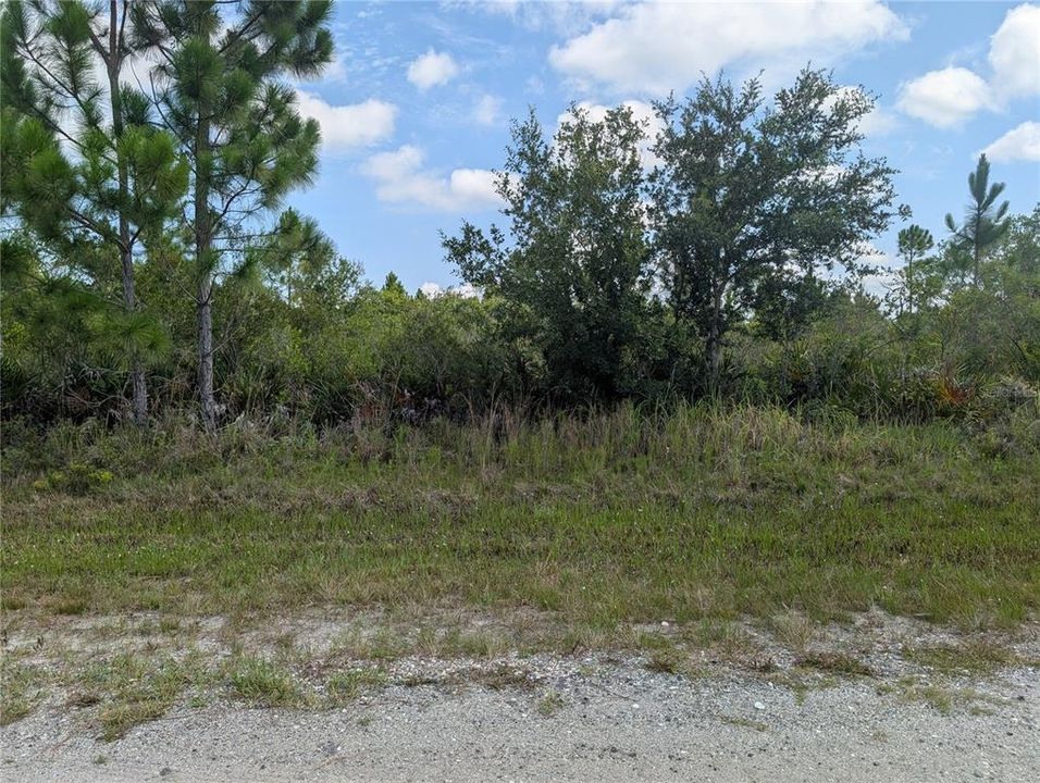 На продажу: $25,000 (1.00 acres)