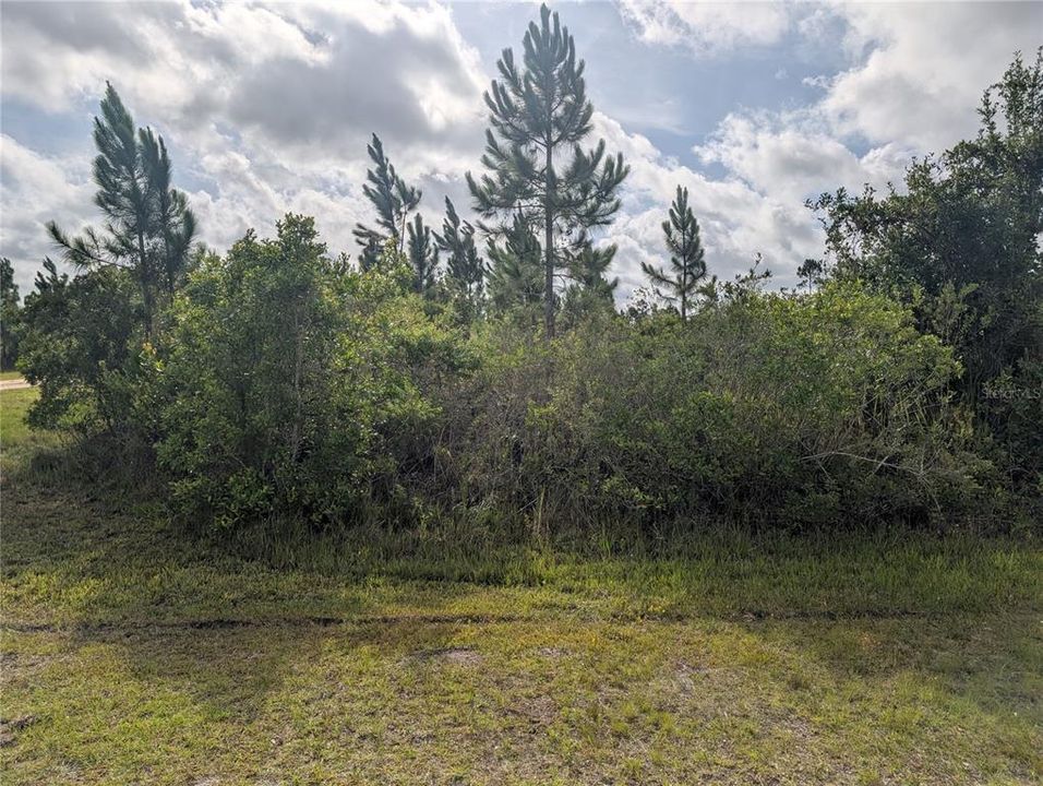 En Venta: $18,000 (0.55 acres)