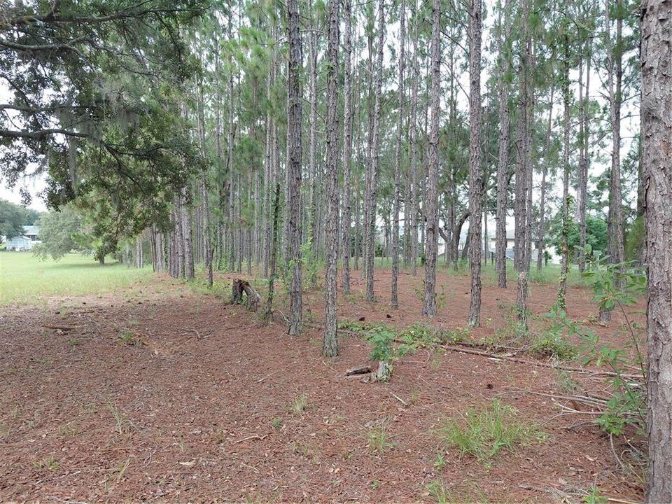 En Venta: $900,000 (3 camas, 2 baños, 1719 Pies cuadrados)