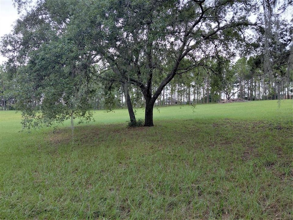En Venta: $900,000 (3 camas, 2 baños, 1719 Pies cuadrados)