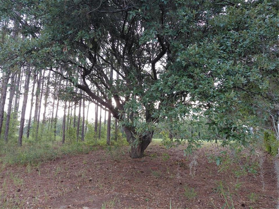 En Venta: $900,000 (3 camas, 2 baños, 1719 Pies cuadrados)