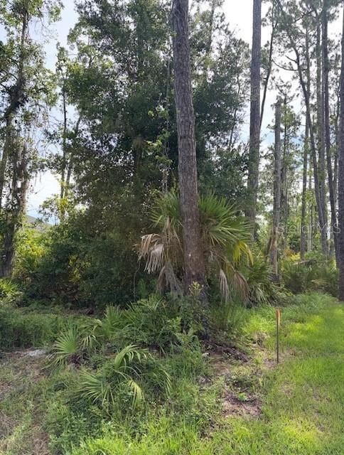 待售: $38,000 (0.26 acres)