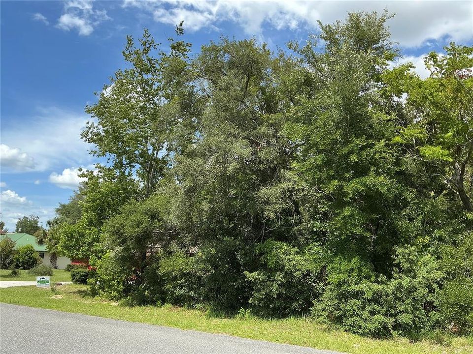 На продажу: $49,000 (0.33 acres)