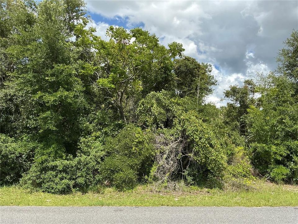На продажу: $49,000 (0.33 acres)