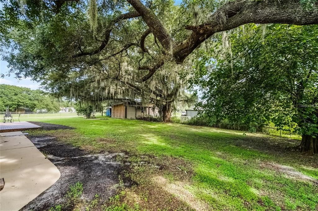 Active With Contract: $545,000 (3 beds, 2 baths, 2446 Square Feet)