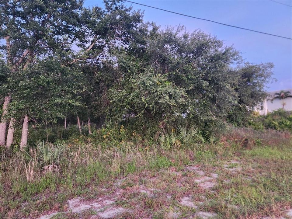 На продажу: $35,000 (0.25 acres)