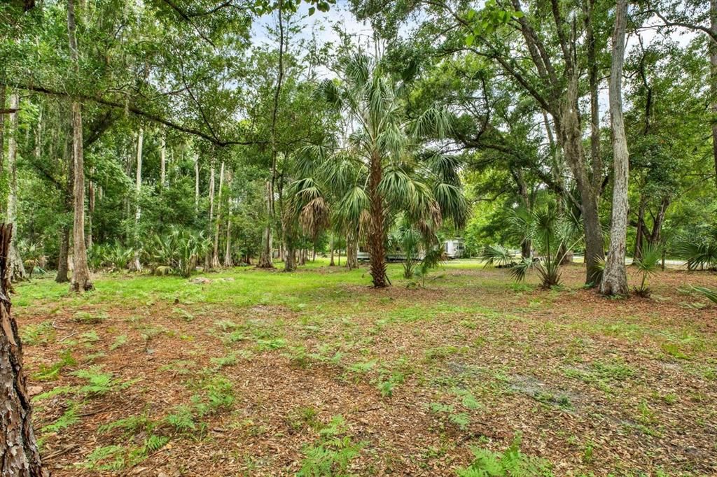 На продажу: $150,000 (1.16 acres)