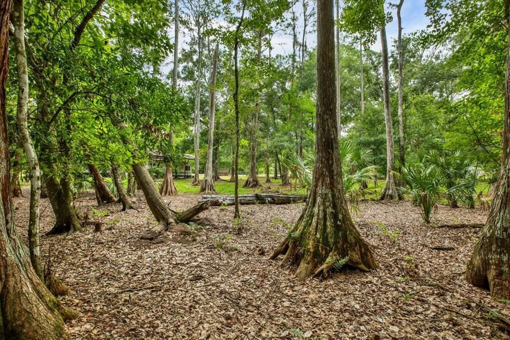 На продажу: $150,000 (1.16 acres)