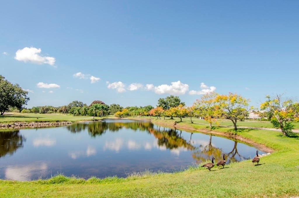 En Venta: $225,000 (2 camas, 2 baños, 1070 Pies cuadrados)