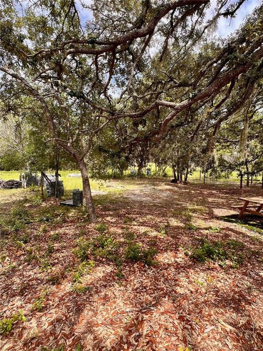 For Sale: $115,000 (1.62 acres)