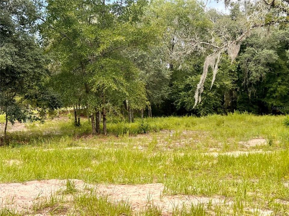 For Sale: $115,000 (1.62 acres)