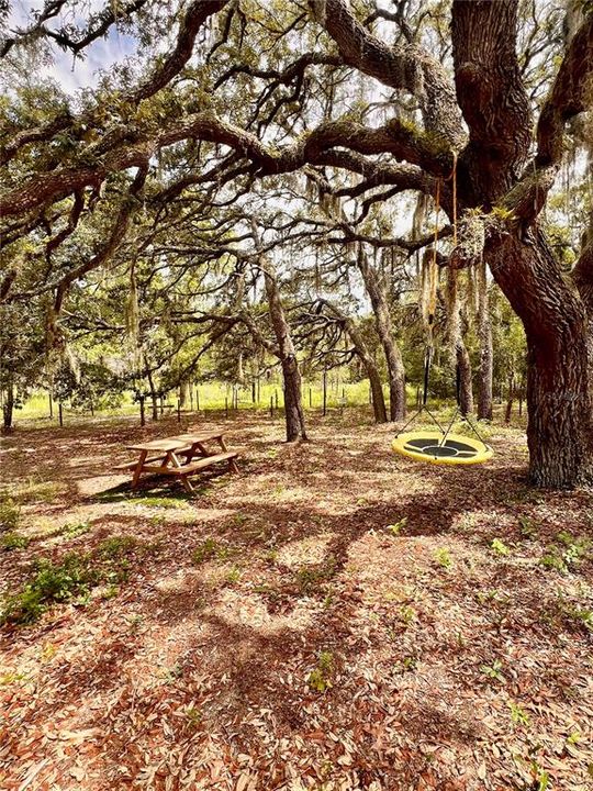 For Sale: $115,000 (1.62 acres)