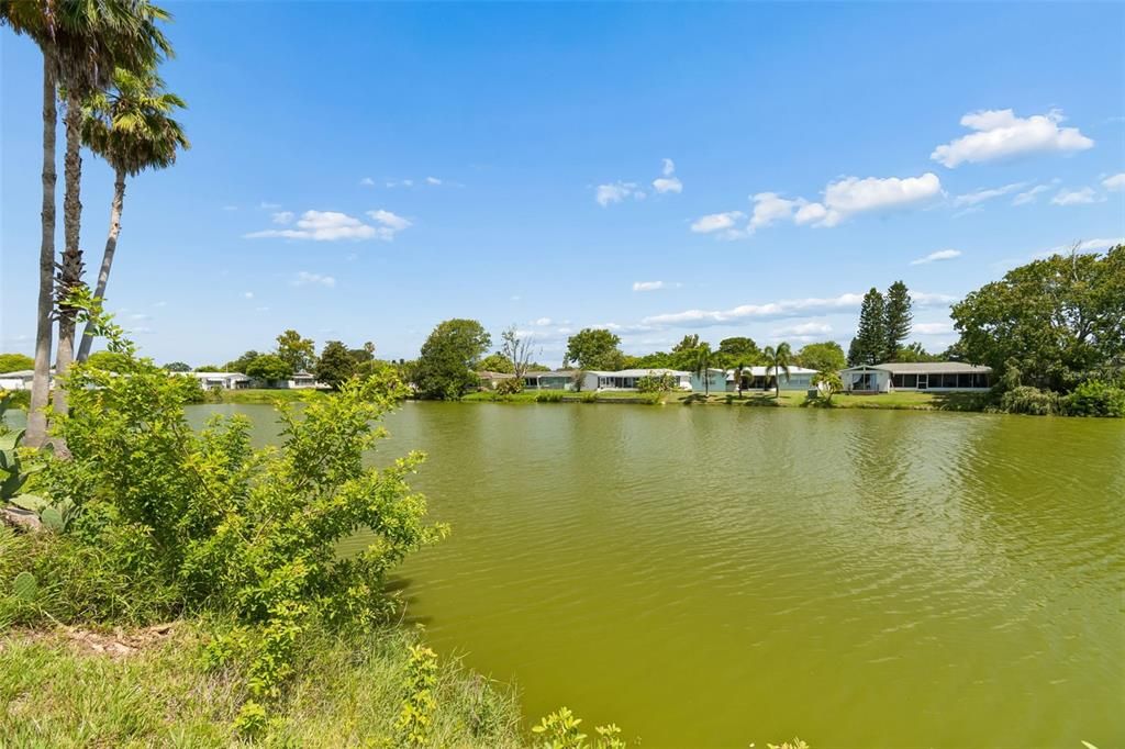 Под контрактом: $229,900 (3 спален, 2 ванн, 1442 Квадратных фут)