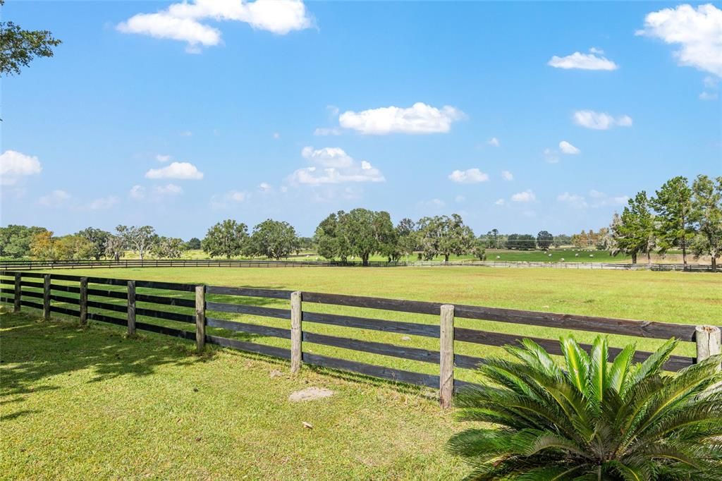 For Sale: $1,325,000 (4 beds, 3 baths, 6350 Square Feet)