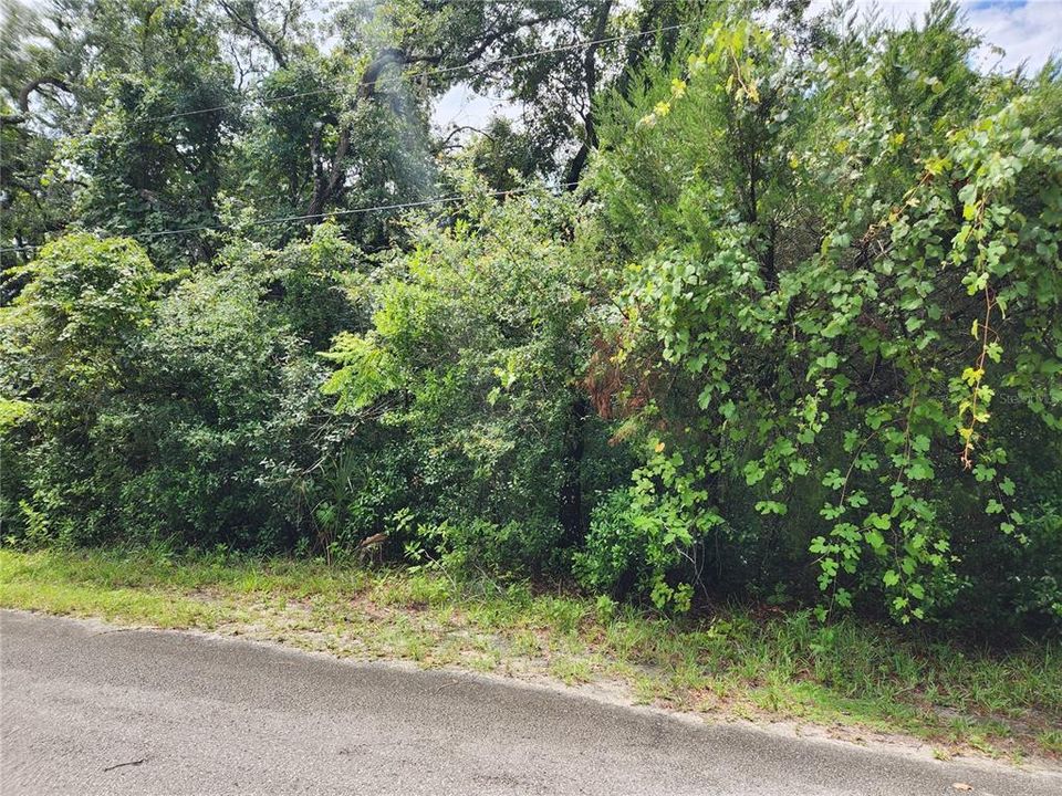 For Sale: $75,900 (1.36 acres)
