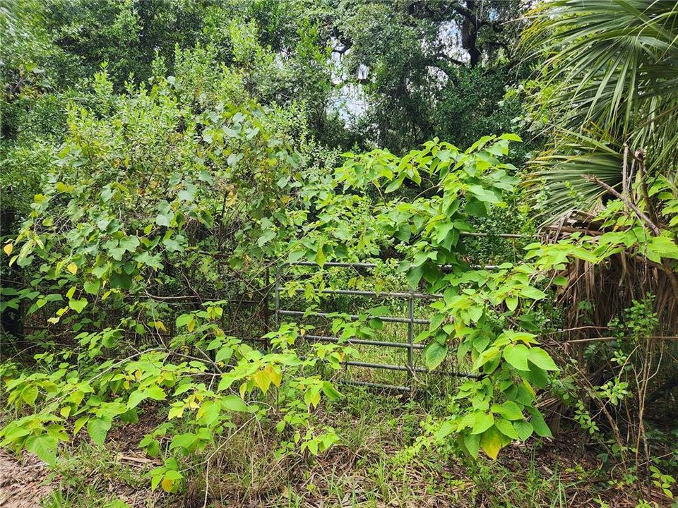 For Sale: $75,900 (1.36 acres)