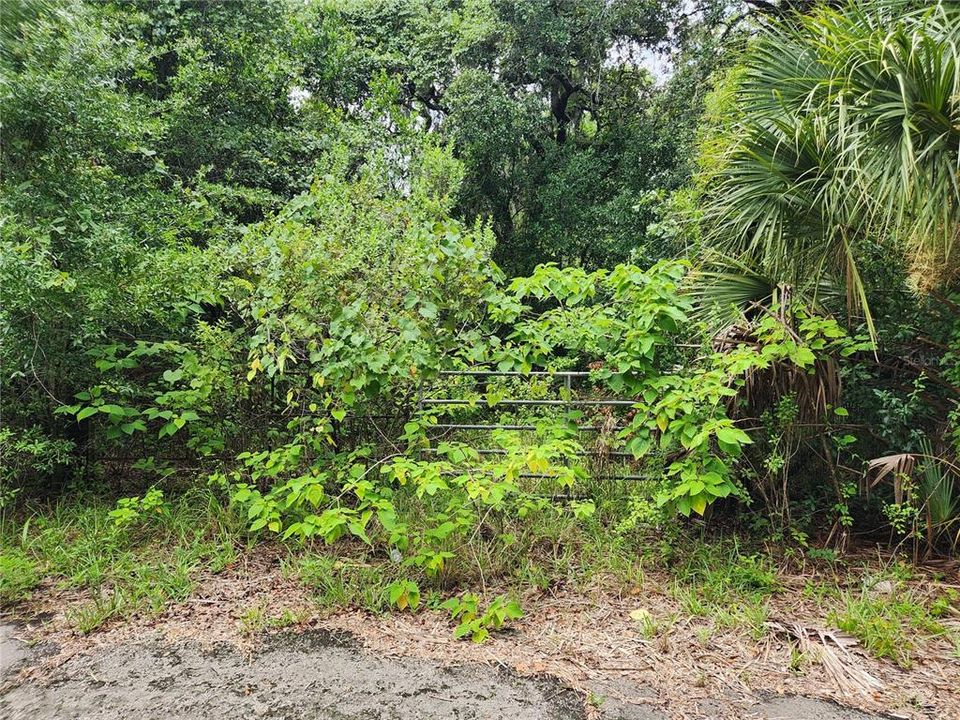 For Sale: $75,900 (1.36 acres)