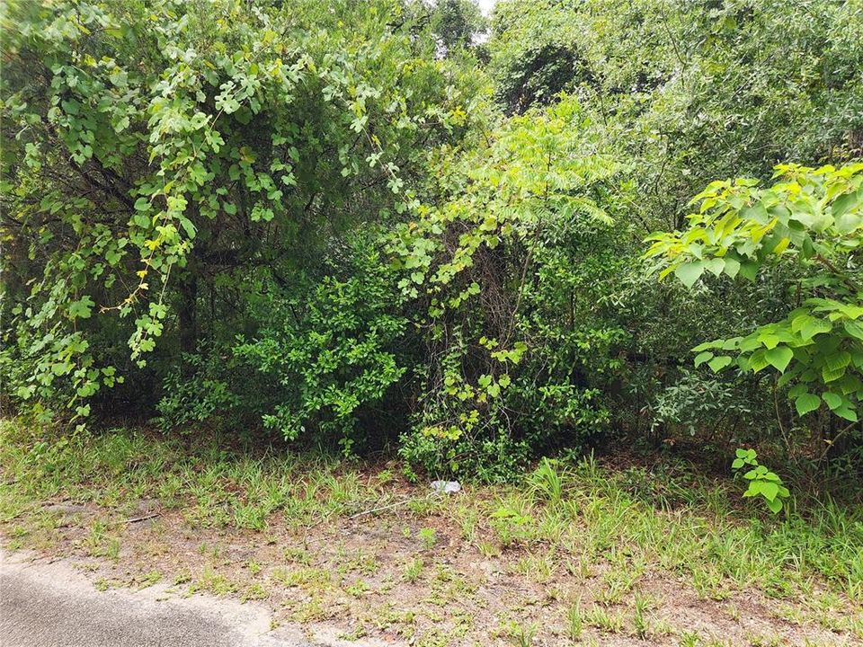 For Sale: $75,900 (1.36 acres)