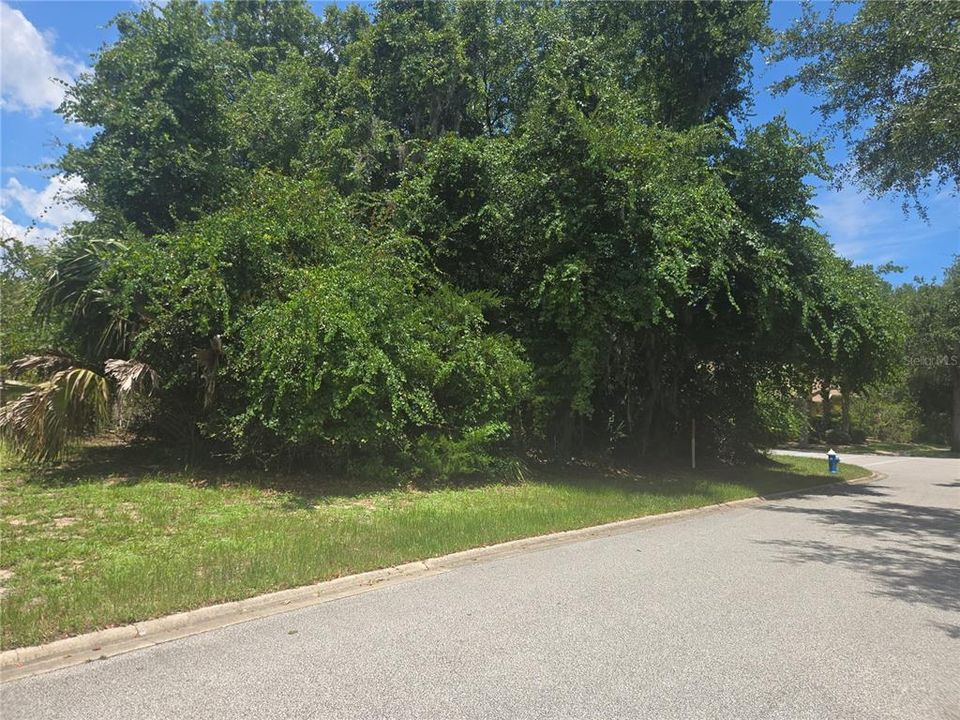 For Sale: $180,000 (0.44 acres)