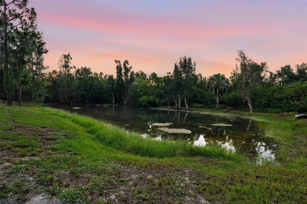 En Venta: $1,290,000 (5 camas, 4 baños, 3338 Pies cuadrados)