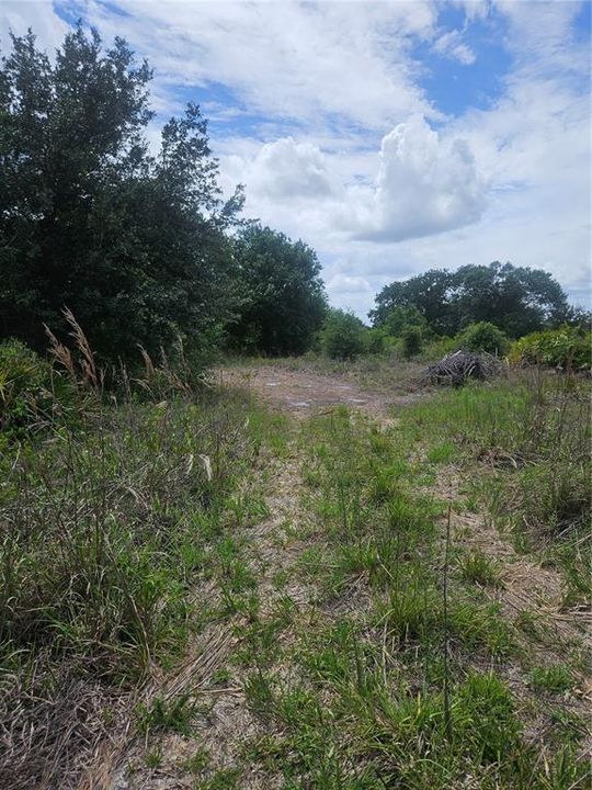 For Sale: $199,000 (5.00 acres)
