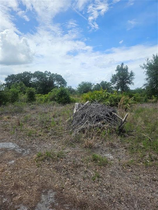 For Sale: $199,000 (5.00 acres)