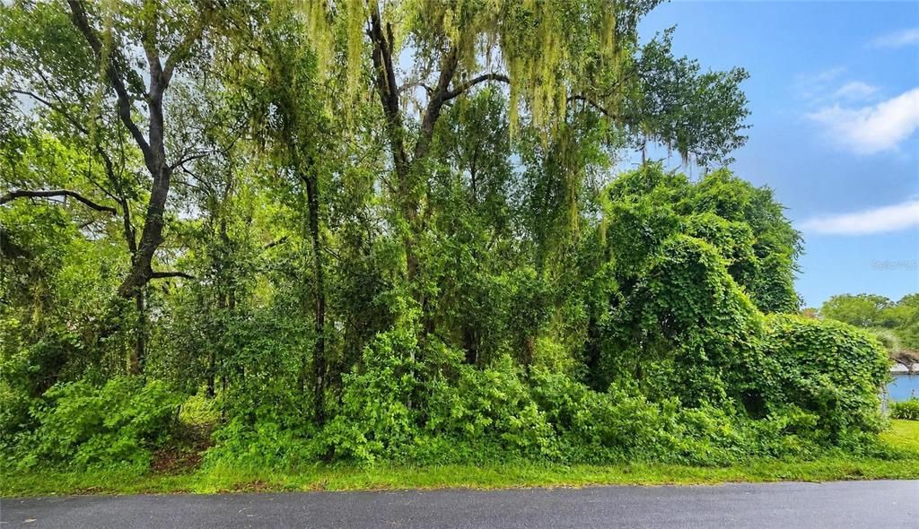 For Sale: $16,500 (0.22 acres)