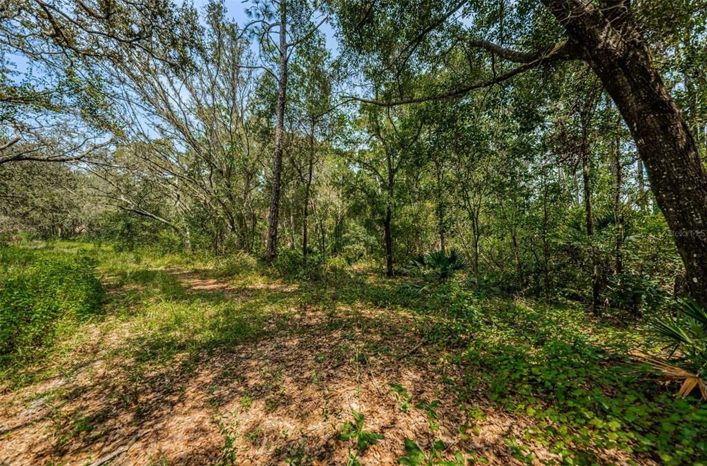 На продажу: $419,000 (4.95 acres)