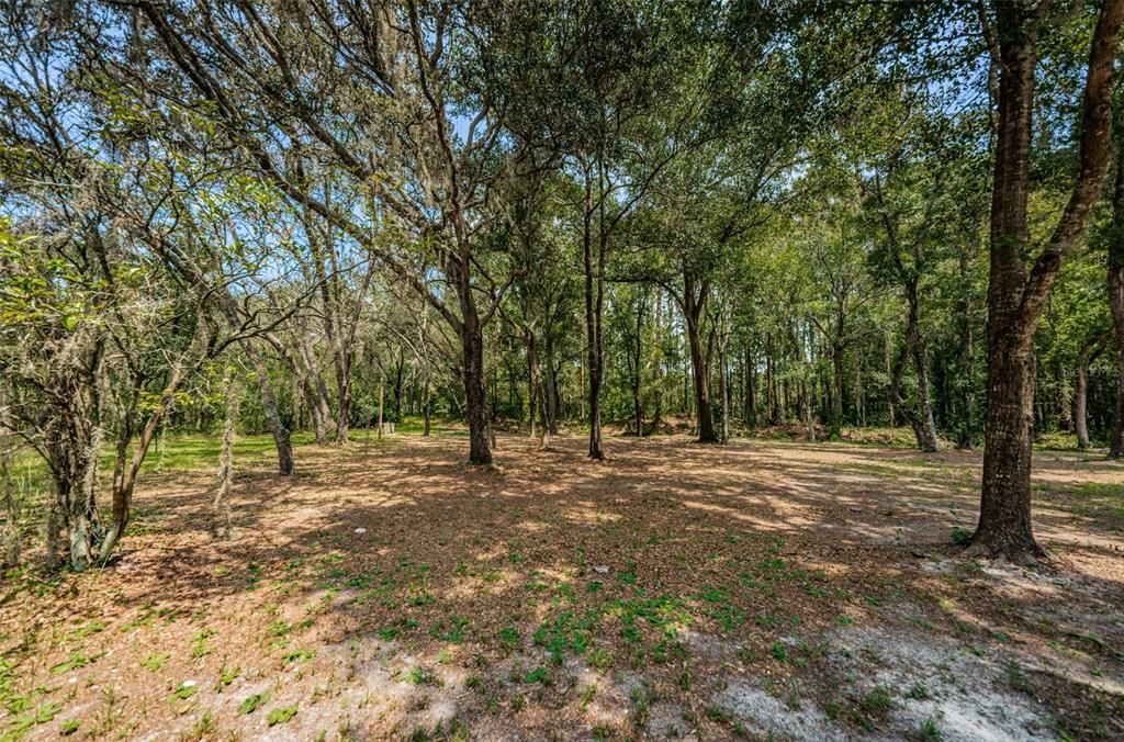 На продажу: $419,000 (4.95 acres)