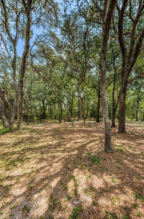 На продажу: $419,000 (4.95 acres)