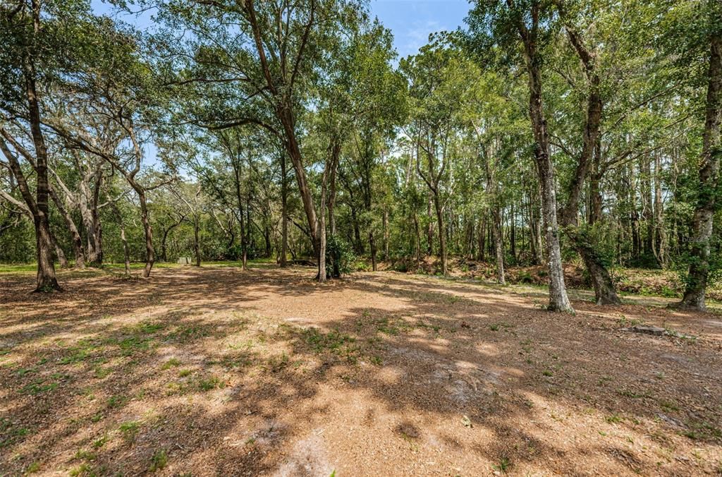 На продажу: $419,000 (4.95 acres)