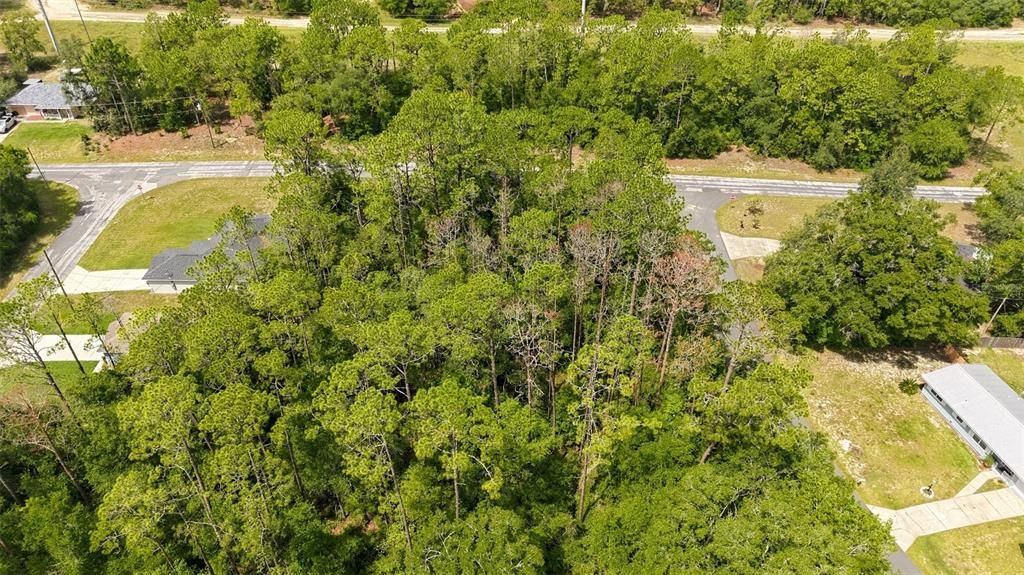 For Sale: $20,000 (0.35 acres)