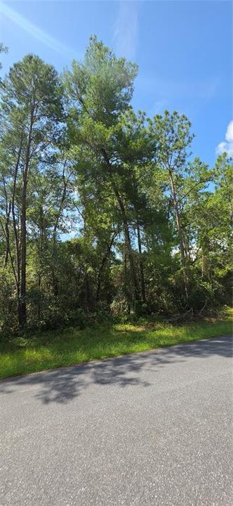 На продажу: $49,990 (0.23 acres)