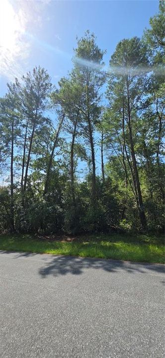 На продажу: $49,990 (0.23 acres)