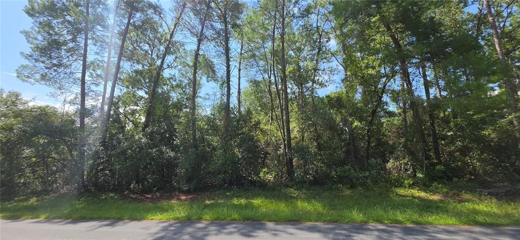 На продажу: $49,990 (0.23 acres)