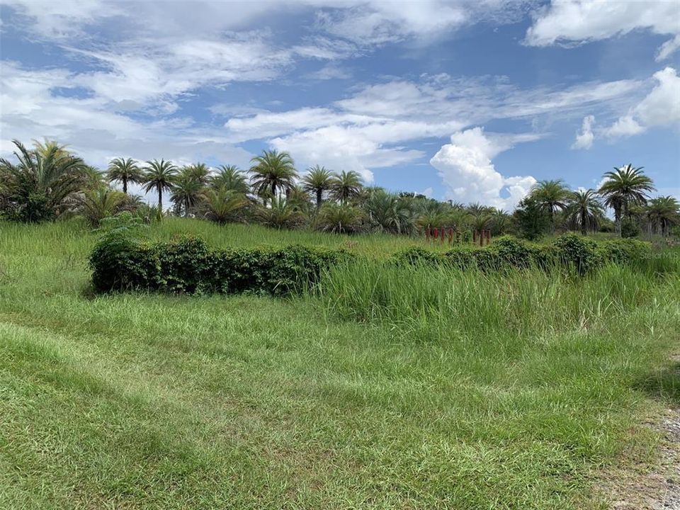 Activo con contrato: $325,000 (5.23 acres)