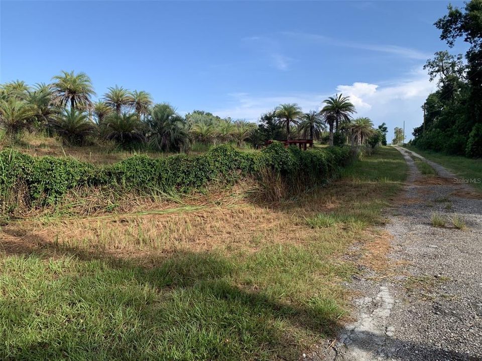 Activo con contrato: $325,000 (5.23 acres)