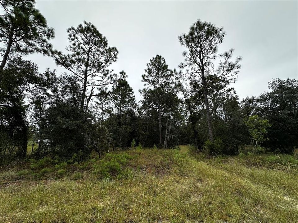 En Venta: $12,000 (0.25 acres)