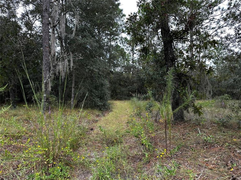 En Venta: $12,000 (0.25 acres)